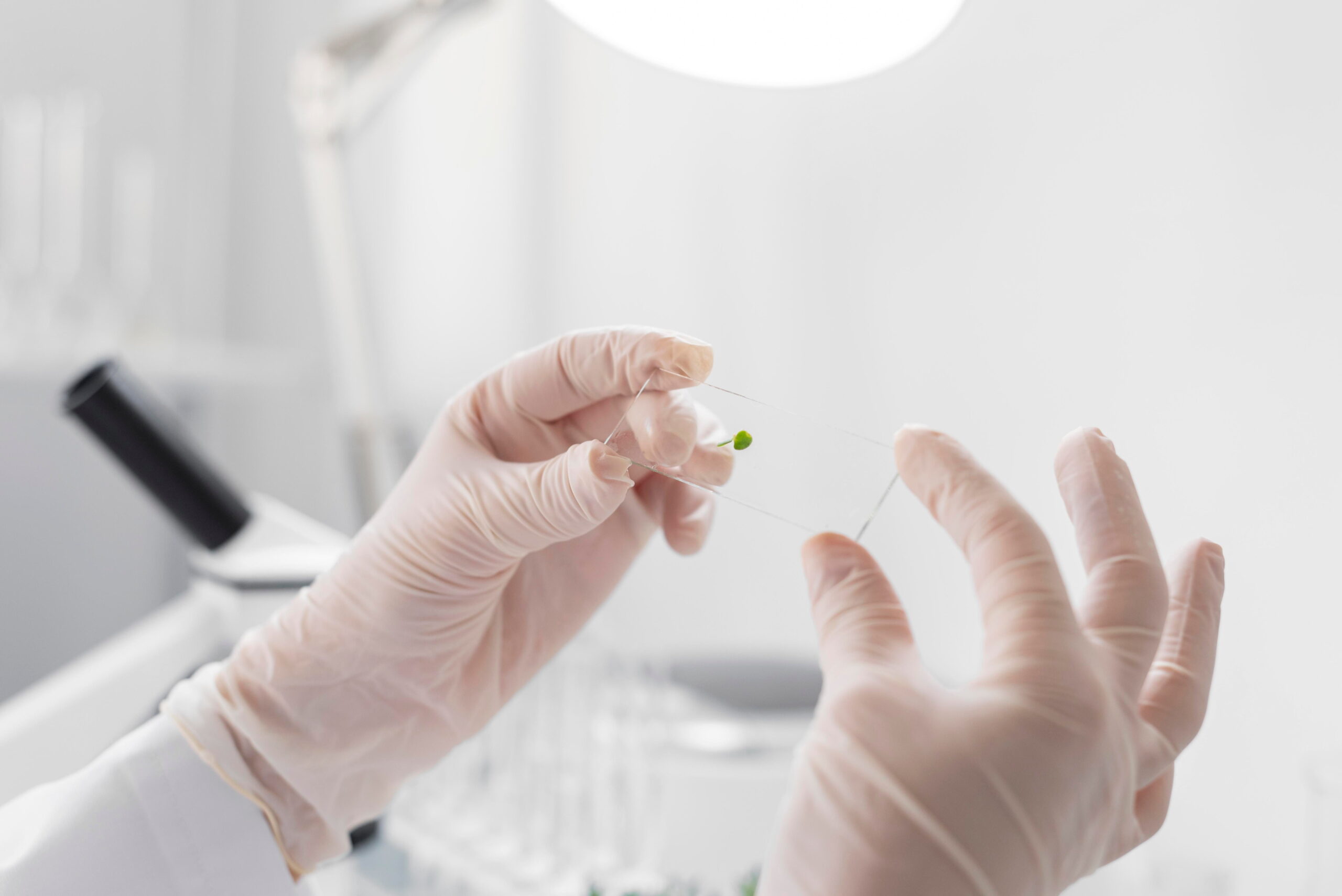 Side effects of the BioTE pellet in females